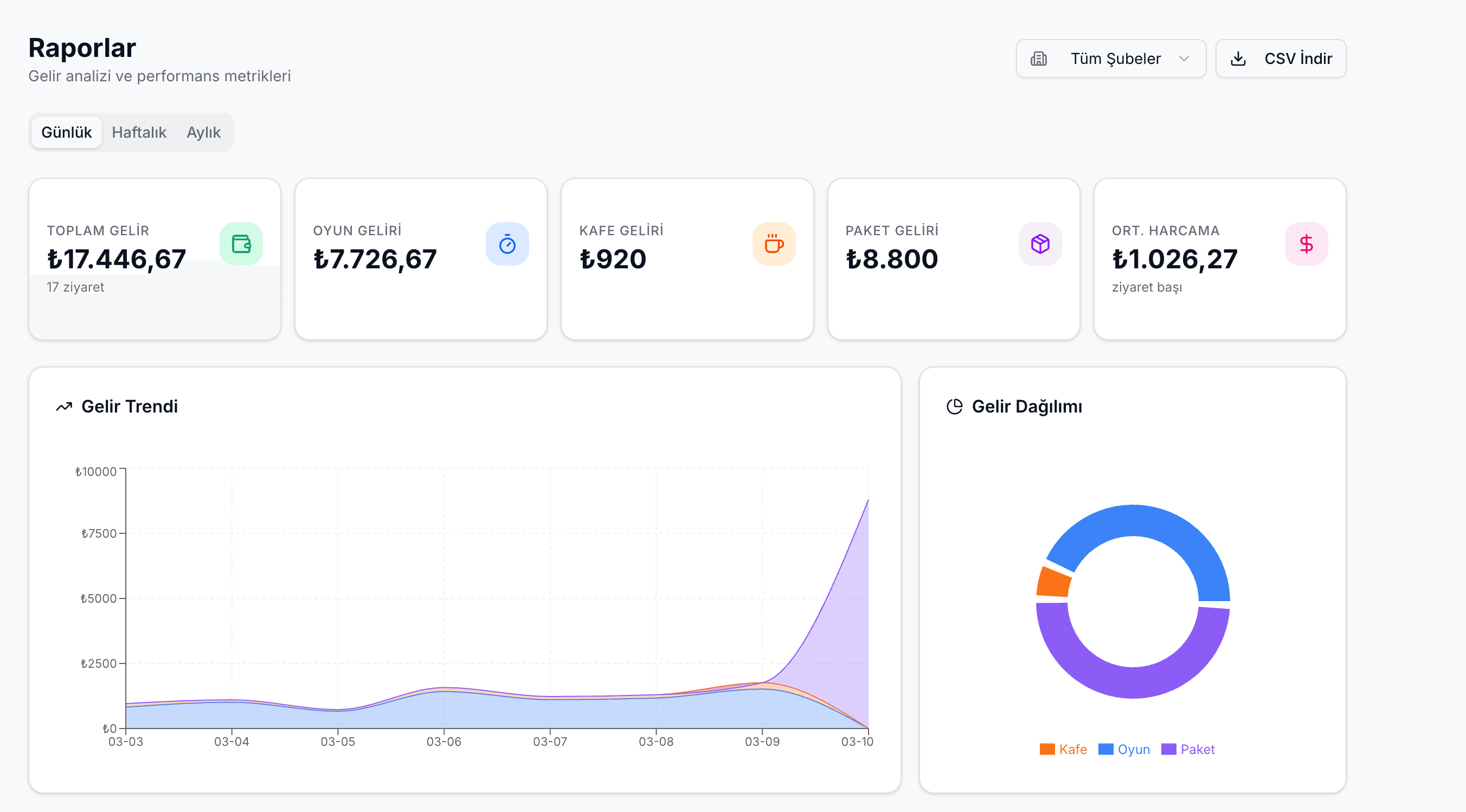 Raporları İnceleyin
